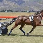 Phil Williamson steers trotter Kenny’s Dream to an impressive win at Cromwell on Saturday, during...