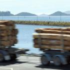Port Otago says removing all log and container trucks from State Highway 88 to Port Chalmers...