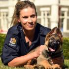 Constable Mel Duff bonds with rookie police dog Ice. Photo: Stephen Jaquiery