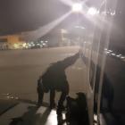 Still image taken from video shows a man leaving plane via emergency exit after delay in Malaga. Photo: Courtesy of Facebook/ @ Fernando del Valle Villalobos via Reuters