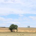 Southland had its driest year on record in 2017 and places such as  Waikaka (pictured) continue...