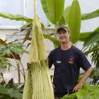 Botanic Garden plant collection curator Stephen Bishop checks the progress of the garden's rare...