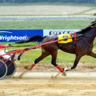 Tornado Valley in full flight before going on to win race 6 at Oamaru yesterday. Photo by Jonny...