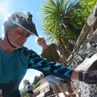 Touchstone project manager Chris Arbuckle fills his water bottle at the Wanaka community  spring...