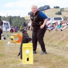 Marjo Buis, of Dunedin, encourages Buddy (9) during the flygility demonstration at the East Otago...