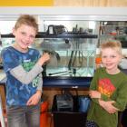 Joshua (8) and Theo (6) Clamp look around the  new science department during Wakatipu High School...