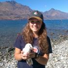 An endangered black-billed gull leaves its mark on Kiwi Birdlife Park senior keeper Bonnie...