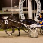 Themightyquinn (Gary Hall jun) wins the Auckland Cup from Mr Feelgood. Photo by NZ Herald.