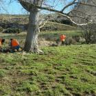 Offenders on community work carry out repairs to a farm fence after flooding near Balclutha last...