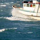 The South-East Marine Protection Forum has today released its recommendations to Government on...