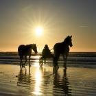 Trainer Ricky Allen takes Count Eyre for a  run at Katiki Beach  with his stablemate, Katiki Lad,...