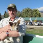 Wanaka A&amp;P Show Jack Russell race organiser Richard Burdon with a 7-year-old Jack Russell...