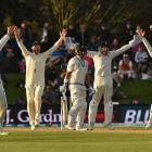 Neil Wagner withstood intense pressure to help save the second test against England. Photo: Getty...