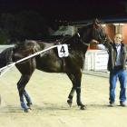 Driver Nathan Williamson, co-owner Simon Russell and trainer Mick Prendergast in the winners'...