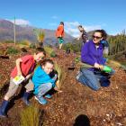 Remy Austin (5) and sister Audrey (8) help their mum Celine plant one of more than 1000 native...