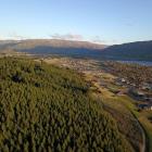 Wanaka's Sticky Forest. To the right of the forest is the Peninsula Bay subdivision, and Roys Bay...