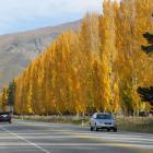 Autumn poplars overlook the Ripponvale straight near the Highlands corner. The ORC is proposing...