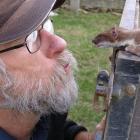 A new Yellow-Eyed Penguin Trust field base at Long Pt, Catlins, is a step closer after funding...