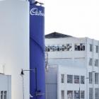 The Cadbury factory in Cumberland St. Photo: ODT files 