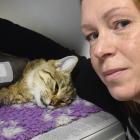 Izzy the cat recovers yesterday after being shot  this week. Owner Bonnie Smith is appealing for...