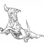 A drawing of the dog sculpture proposed for Queenstown Gardens. Image: Supplied
