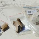 Archaeological discovery ... University of Otago researchers at Eastland Port in Gisborne...