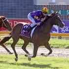 Southern hopes in the Champagne Stakes at Riccarton tomorrow are headed by Khimar War and rider...