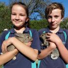 Glenavy School pupils Anna Mansfield (11) and Reuben Dann (11) with the school's pet rabbits,...
