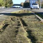 Awaiting vegetation ... The Stuart St median strip is to be beautified again next year. PHOTO:...