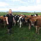 Dairy Women’s Network southern regional leader Shelli Mears checks on her rising one calves at...