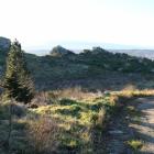 The site of a potential subdivision on top of Alexandra's Bridge Hill. Photo: Tom Kitchin