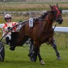 Boomer Bailey is a leading chance in the feature pace at Oamaru tomorrow where he will be driven...