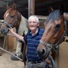 Brian Anderton, of White Robe Lodge, at North Taieri, with horses Tommy Tucker (left) and Patrick...