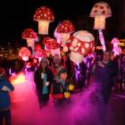 Children carry illuminated fungi up Stuart St during the Dunedin Midwinter Carnival on Saturday....