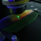 A laser probes a parrot feather, showing its pigment components. Photos: Jonathon Barnsley
