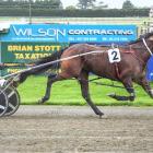 Tact Maggie is a leading chance in tonight's South Of The Waitaki Series final at Addington....