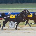 Trick Star  (Samantha Ottley) stretches out to win at Oamaru yesterday over Dusky Eyre and Blair...