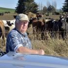 Ivan Roulston has had 65 in-calf dairy cows stolen from his Toropuke dairy farm. PHOTO: GERARD O...