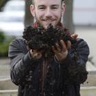 Student Finn Boyle runs his hands through some soil at the Otago Polytechnic yesterday. Photo:...