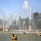 Hand-reared the six rooks and trained them to collect garbage at the theme park by offering a...