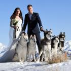 Sledding led to a weddingNewlyweds Tania and Ash Hastelow with their dogs Ranger, Roxy, Quade,...