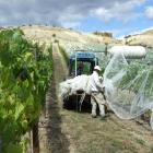 There is a shortage of skilled tractor drivers and irrigation technicians in the Central Otago...