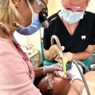 Dentistry on Musselburgh dentist Saleema Reeves (left) and dental assistant Grace Meyer treat...