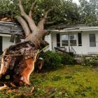 A downed tree rests on a house during the passing of Hurricane Florence in the town of Wilson....