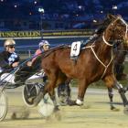 Pyramid Magic, driven by Matthew Williamson, wins the opening race at Forbury Park last night....