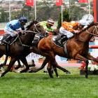 Popular Otago-bred stayer Who Shot Thebarman has been scratched from the Melbourne Cup. Photo:...