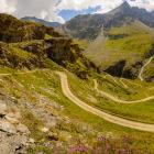 A cyclist was shot and killed by a hunter in the French Alps. Photo: Getty Images