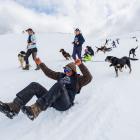 ‘‘Country’’ race runner-up Kelly Smith slides down the slope with her dog Missy at the Speight’s...