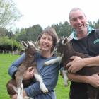 Tracy Tooley and Malcolm Gawn not only love creating soap (above) from goats' milk but they also...