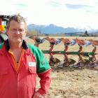 Lake Hawea contractor John Osborne prefers the old-fashioned plough to more modern methods. Photo...